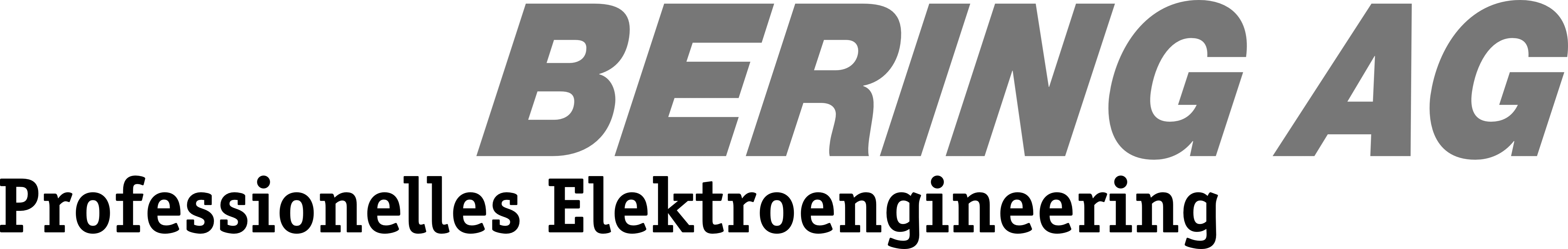 Bering AG Logo 